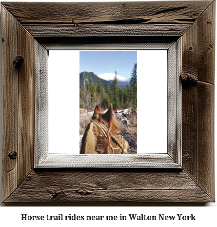 horse trail rides near me in Walton, New York